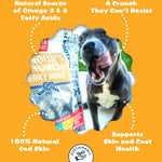 Little Fish Pack Plato Pet