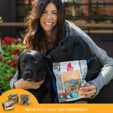 Little Fish Pack Plato Pet