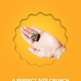 Little Fish Pack Plato Pet