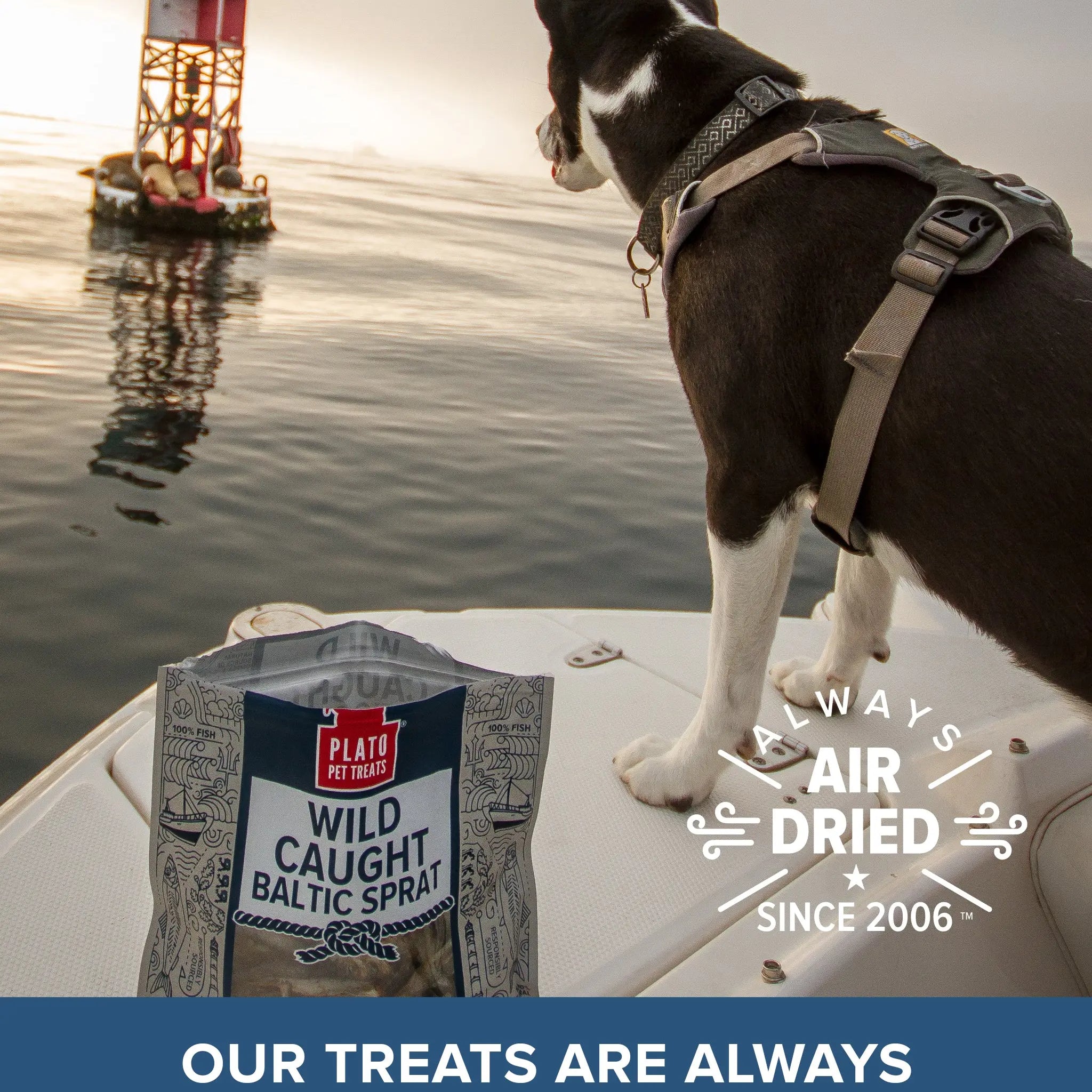Baltic Sprat Pack Plato Pet