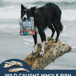 Baltic Sprat Pack Plato Pet