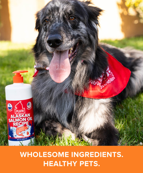 Alaskan Salmon Oil Recipe Kibble Topper