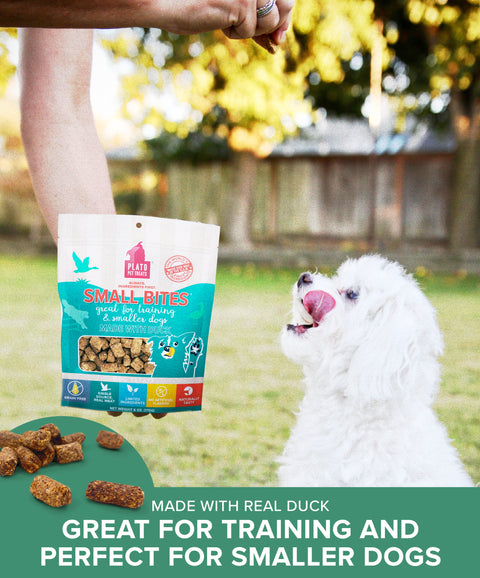 Small Bites With Duck