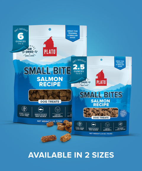 Small Bites With Salmon