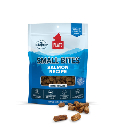 Small Bites With Salmon