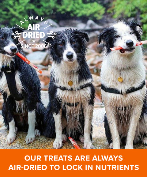 Thinkers Chicken Meat Stick Dog Treats