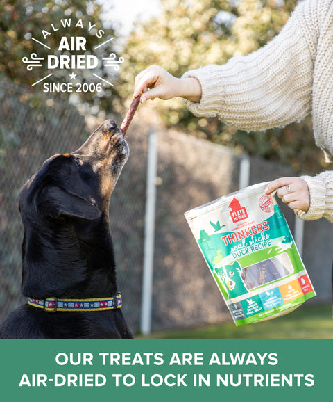 Thinkers Duck Meat Stick Dog Treats