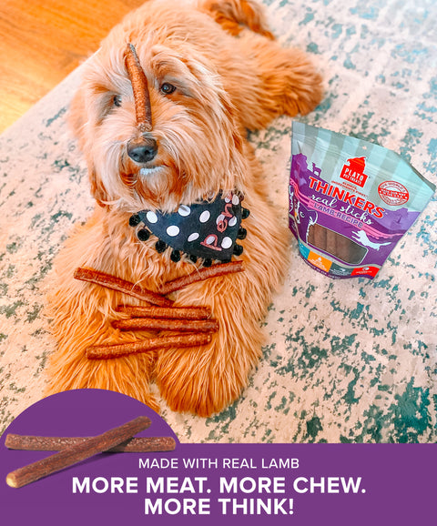 Thinkers Lamb Meat Stick Dog Treats
