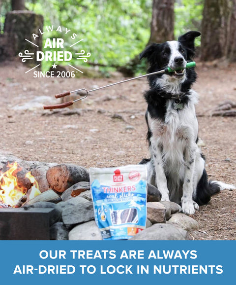 Thinkers Salmon Meat Stick Dog Treats