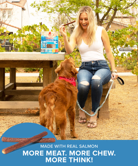 Thinkers Salmon Meat Stick Dog Treats