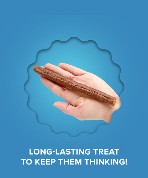 Thinkers Salmon Meat Stick Dog Treats