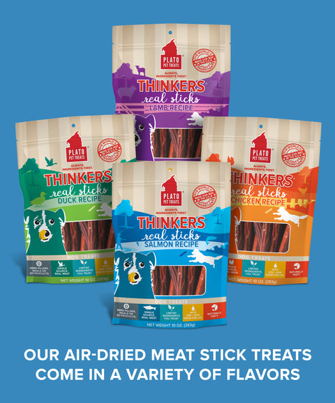 Thinkers Salmon Meat Stick Dog Treats