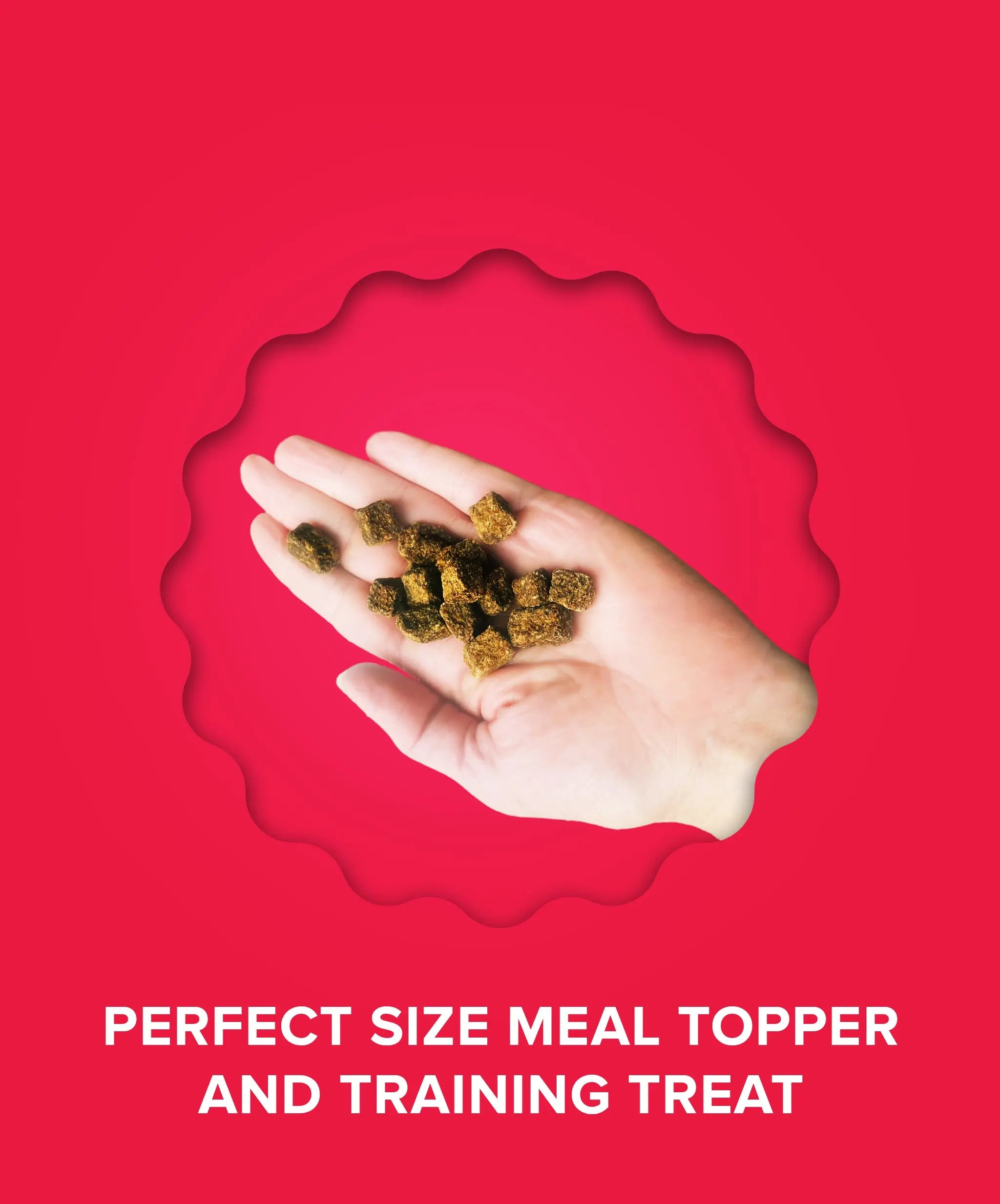 Beef & Collagen Food Topper Plato Pet Treats