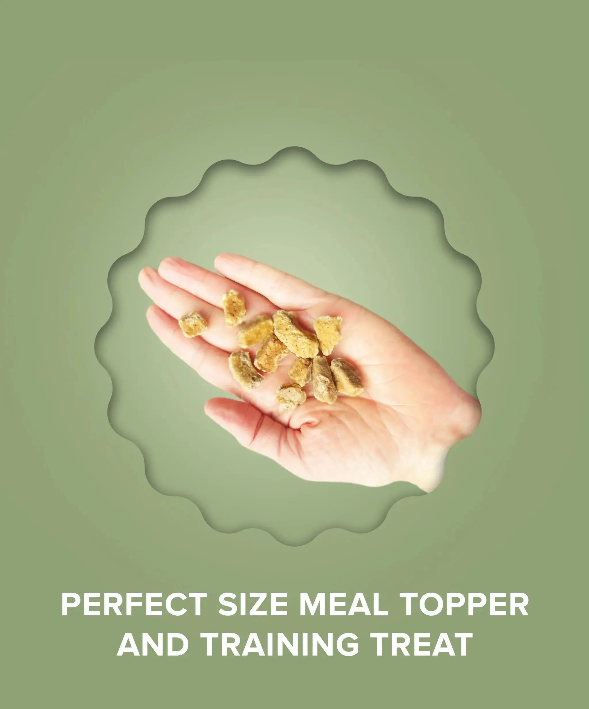 Chicken with Goat Milk & Collagen Food Topper Plato Pet Treats