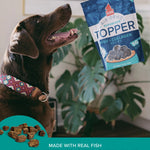 Fish & Collagen Food Topper Plato Pet Treats