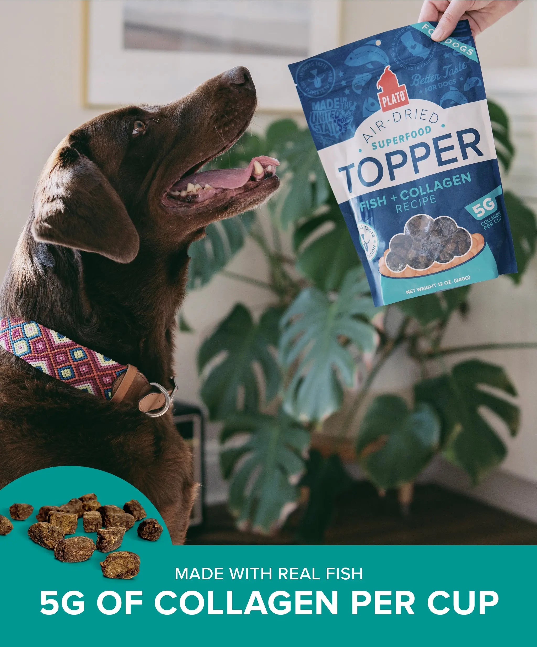 Fish & Collagen Food Topper Plato Pet Treats
