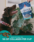 Fish & Collagen Food Topper Plato Pet Treats