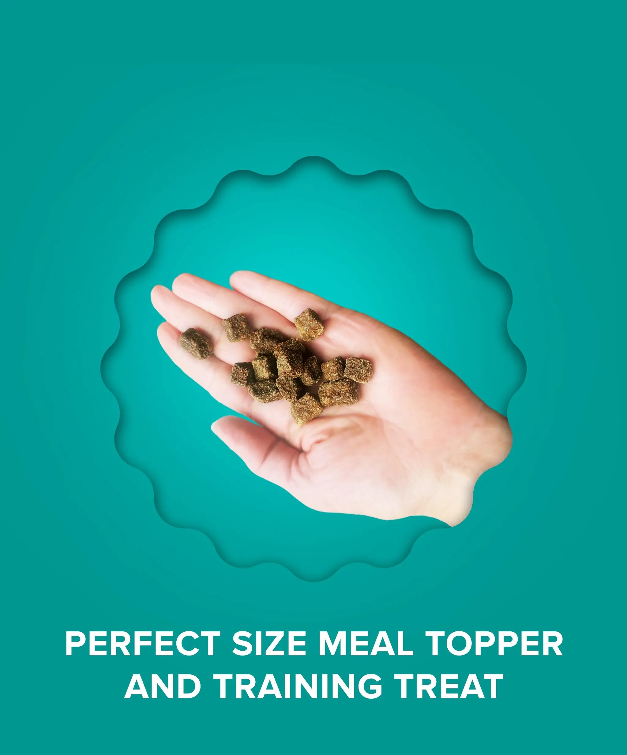 Fish & Collagen Food Topper Plato Pet Treats