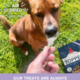 Venison, Lamb & Collagen Food Topper Plato Pet Treats