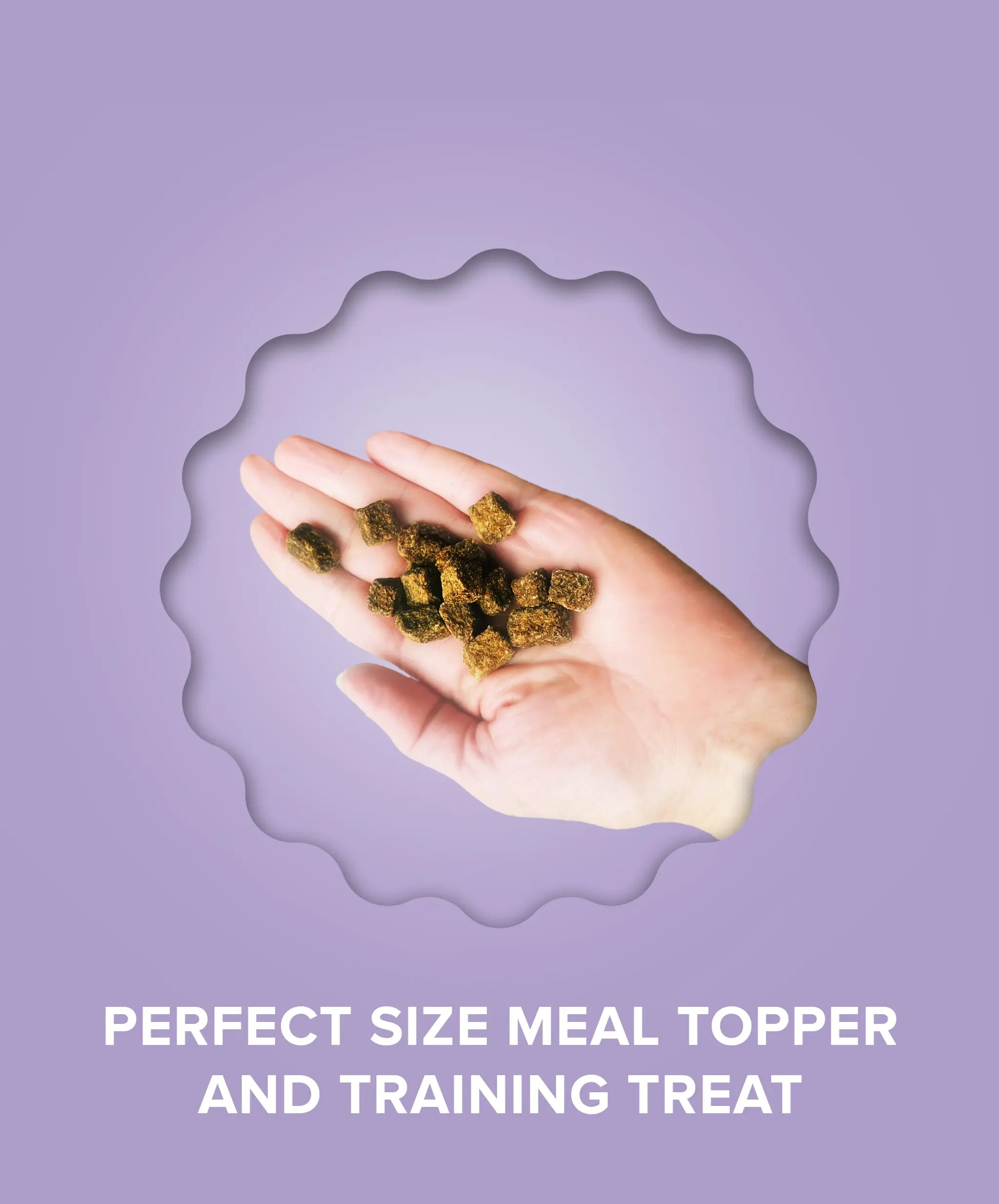 Venison, Lamb & Collagen Food Topper Plato Pet Treats