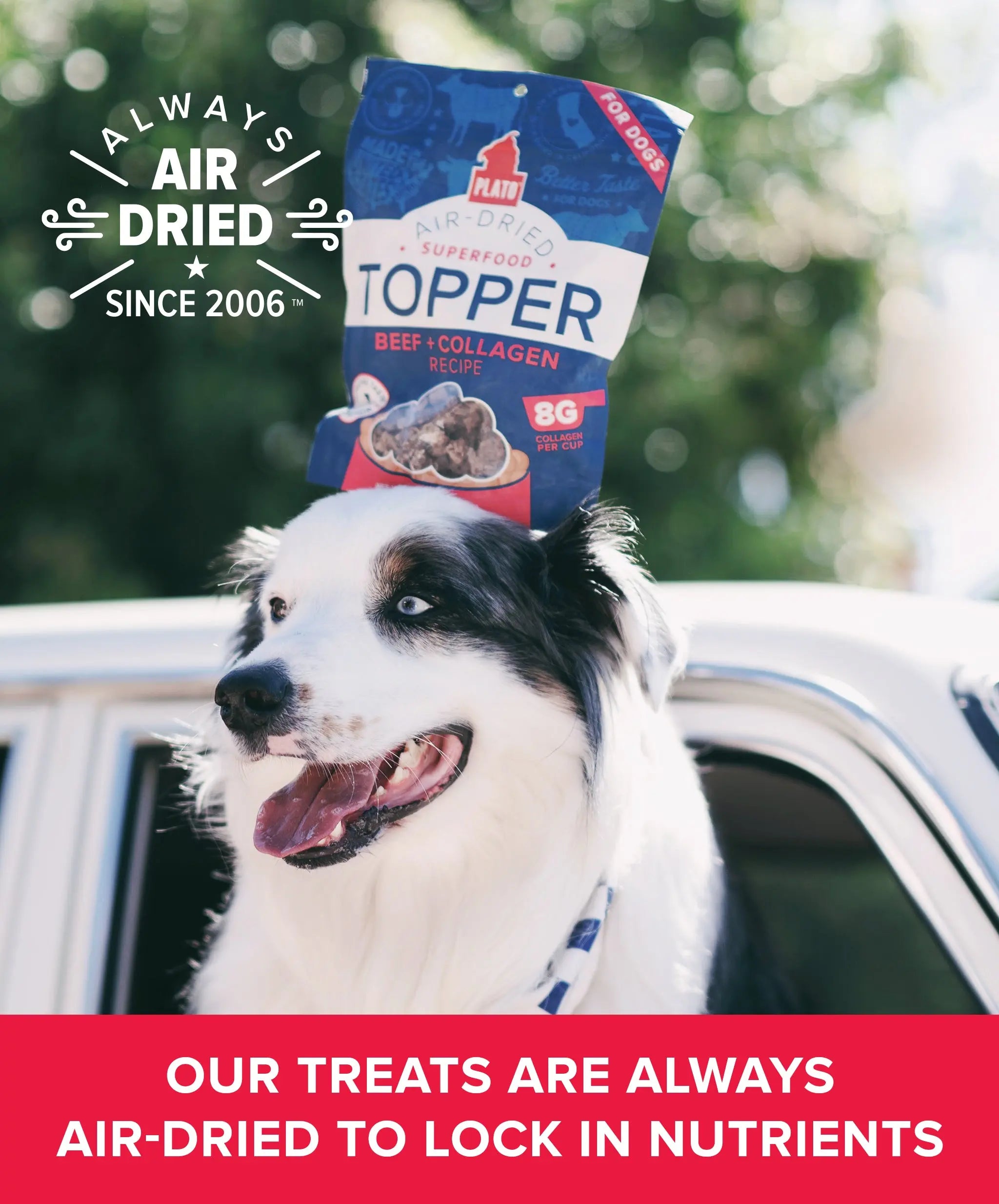 Beef & Collagen Food Topper Plato Pet Treats