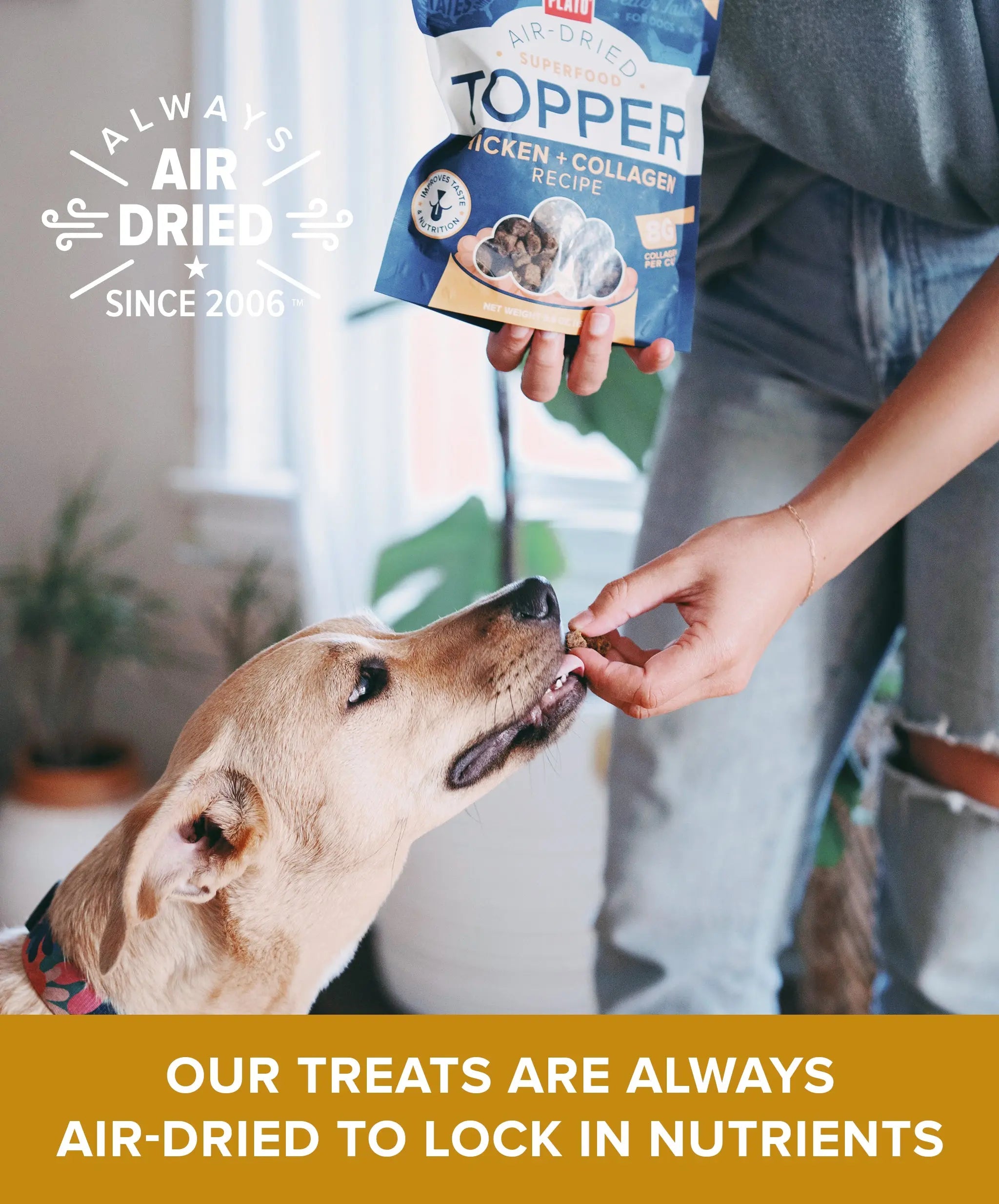 Chicken & Collagen Food Topper Plato Pet Treats