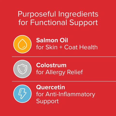 Skin & Coat Health Bundle