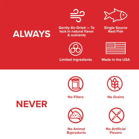 Skin & Coat Health Bundle