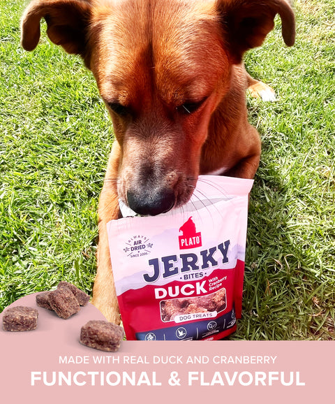 Duck with Cranberry Jerky Bites