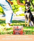 Turkey with Pumpkin Jerky Bites Plato Pet Treats