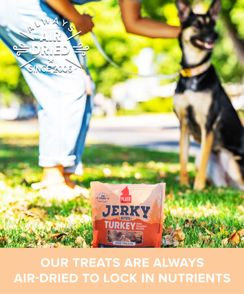 Turkey with Pumpkin Jerky Bites
