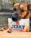 Turkey with Pumpkin Jerky Bites Plato Pet Treats