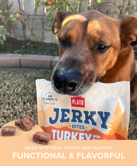 Turkey with Pumpkin Jerky Bites