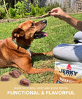 Beef with Bone Broth Jerky Bites Plato Pet Treats
