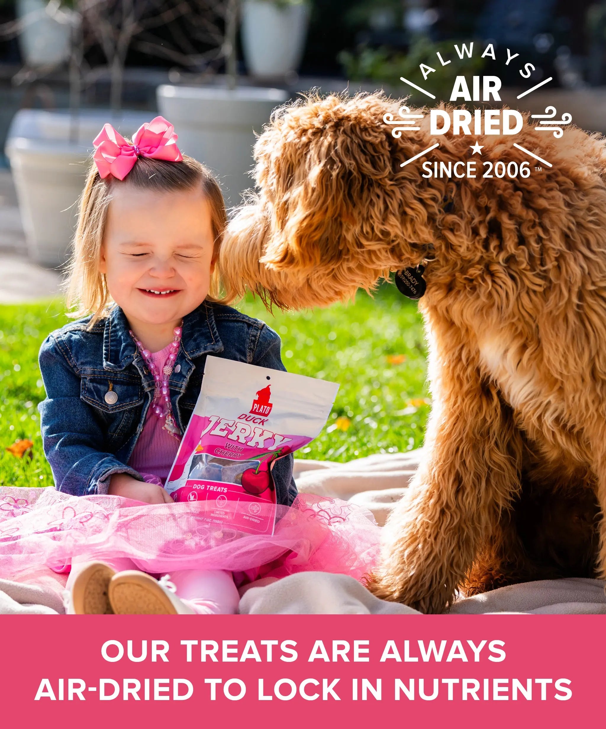 Duck with Cherry Jerky Plato Pet Treats