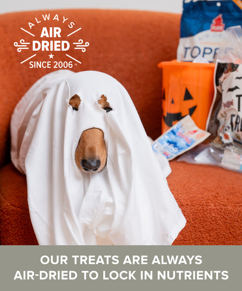 Trick for Treats Variety Pack 16ct